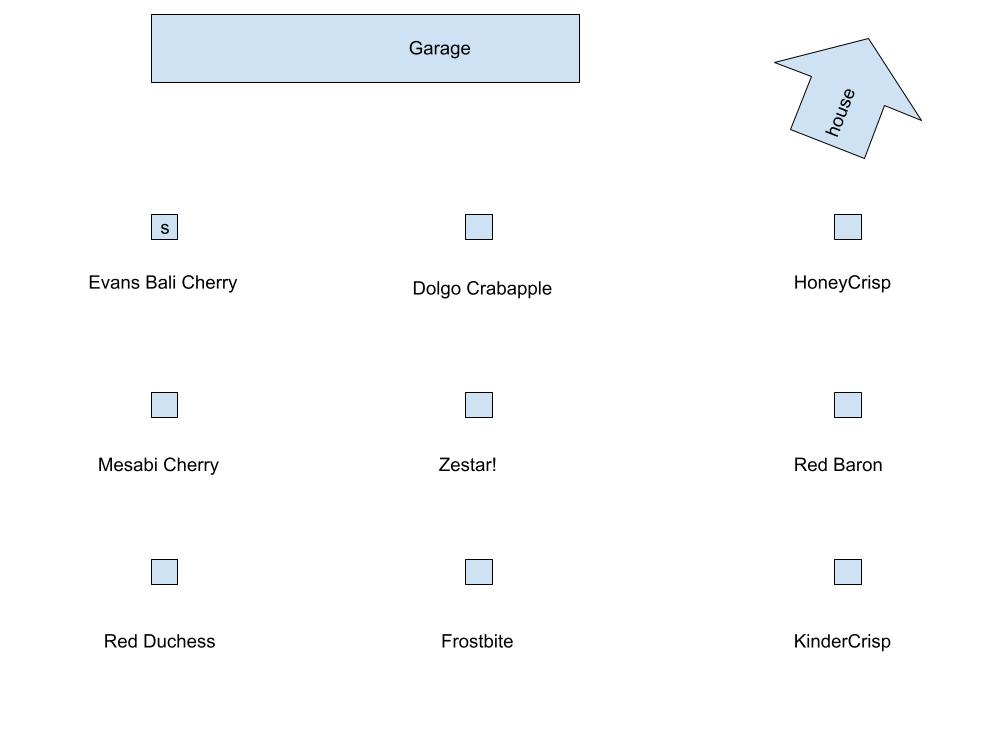 A very basic diagram of the locations of my fruit tree's in relation to eachother and the building in the area